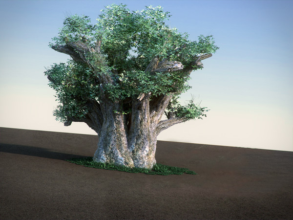 african baobab tree 3ds - African Baobab LowPoly tree by RTEwork