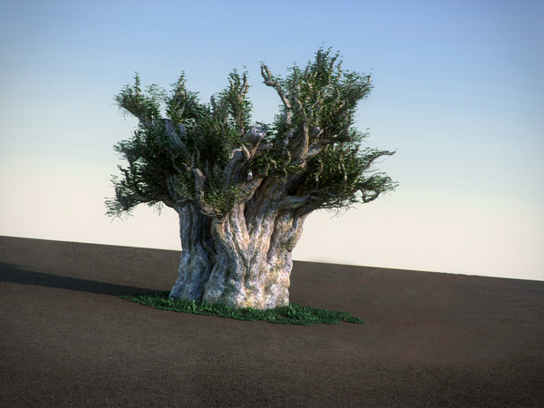 3d african baobab tree model - African Baobab HiPoly tree by RTEwork