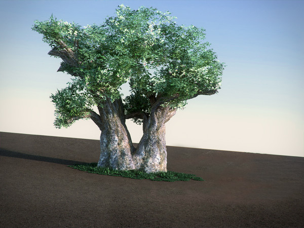 african baobab tree 3ds - African Baobab LowPoly tree by RTEwork