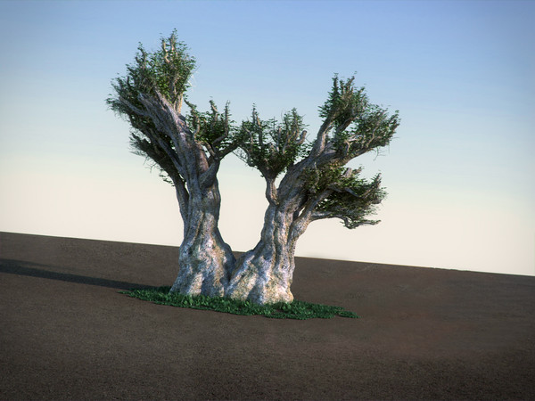 3d african baobab tree model - African Baobab HiPoly tree by RTEwork
