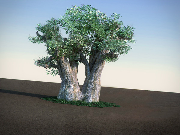african baobab tree 3ds - African Baobab LowPoly tree by RTEwork