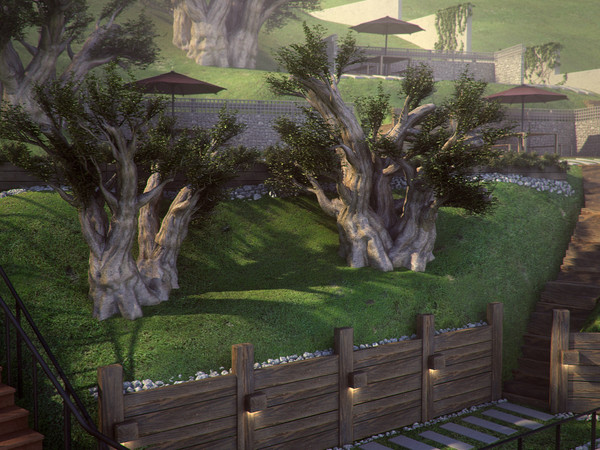 3d african baobab tree model - African Baobab HiPoly tree by RTEwork