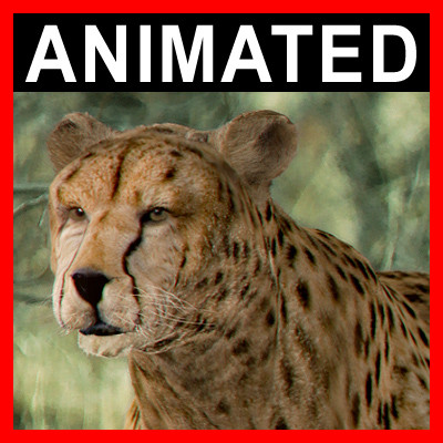 3d cheetah fur - Animated Cheetah by NONECG