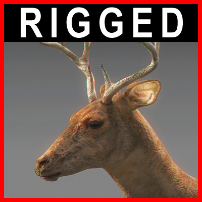 reindeer elk deer 3ds - Rigged Deer... by NONECG