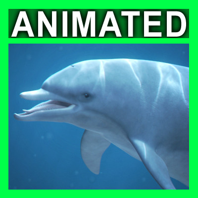 swim animation dolphin bottlenose 3d model - Animated Bottlenose Dolphin... by NONECG