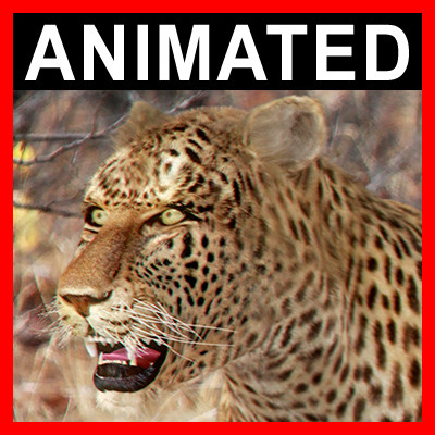 3ds max leopard fur animation - Animated Leopard by NONECG