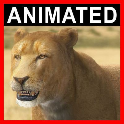 lioness polys 3d model - Animated Lioness by NONECG