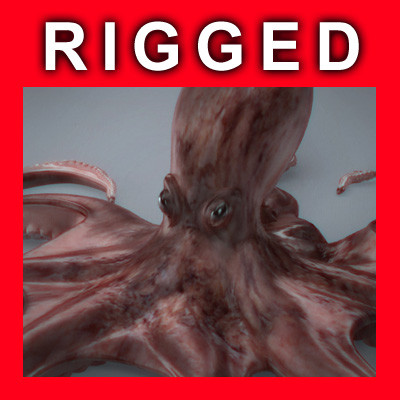rigged octopus 3d model - Rigged Octopus... by NONECG
