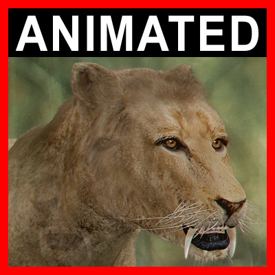 3d sabretooth fur animation - Animated SabreTooth by NONECG