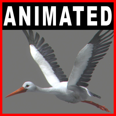 stork flight wings max - Animated Stork by NONECG