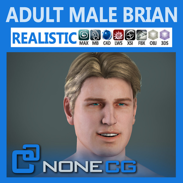 Anatomy Male Brian