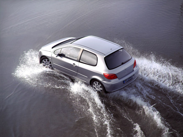 3d peugeot 307 car - Peugeot 307 3 door by RTEwork