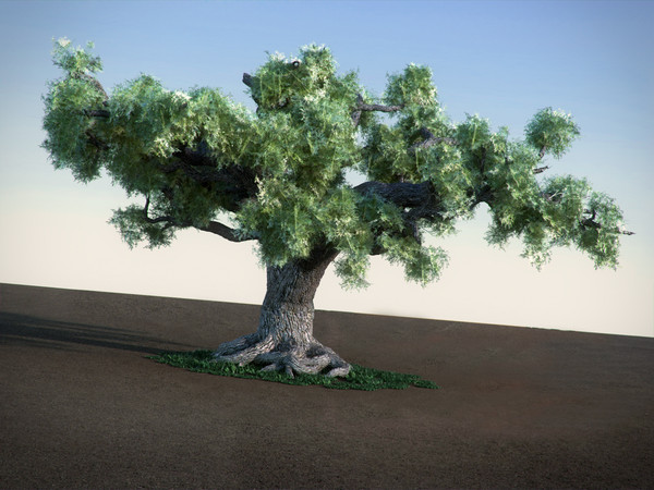 oak tree 3ds - Oak HiPoly tree by RTEwork