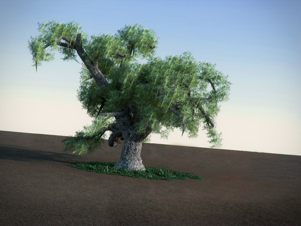 maya oak tree - Oak LowPoly tree by RTEwork