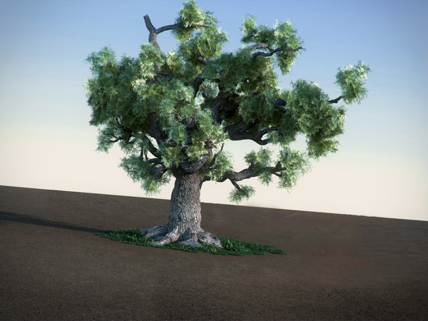 oak tree 3ds - Oak HiPoly tree by RTEwork