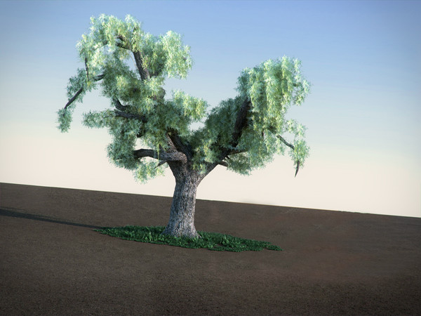 maya oak tree - Oak LowPoly tree by RTEwork