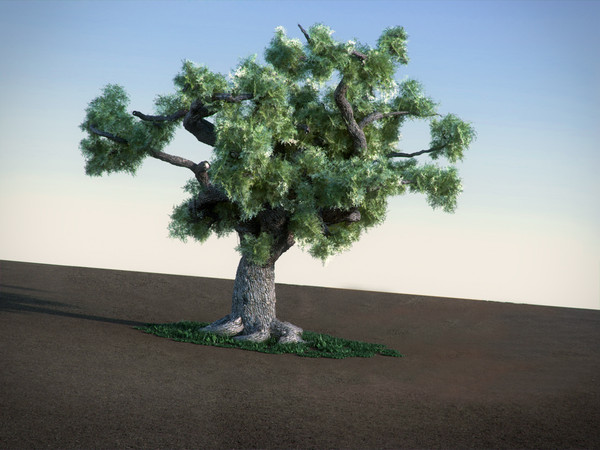 oak tree 3ds - Oak HiPoly tree by RTEwork