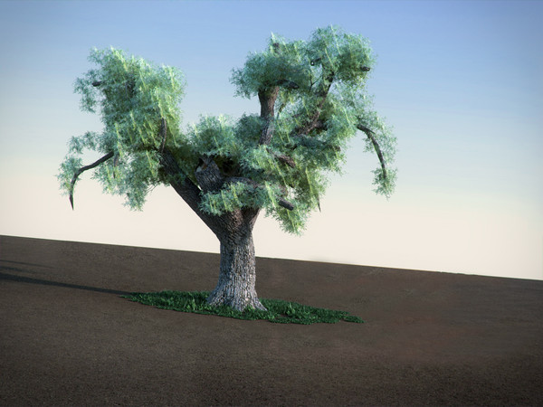 maya oak tree - Oak LowPoly tree by RTEwork