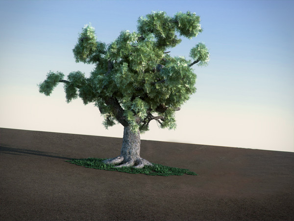 oak tree 3ds - Oak HiPoly tree by RTEwork
