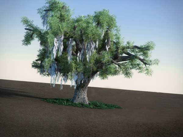 3ds max oak moss tree - Oak with Moss LowPoly tree by RTEwork