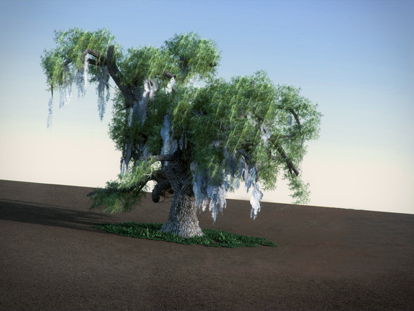 3ds max oak moss tree - Oak with Moss LowPoly tree by RTEwork