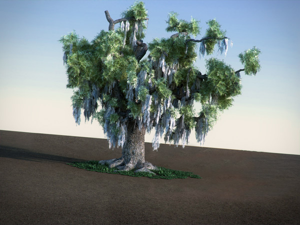 max oak moss tree - Oak with Moss HiPoly tree by RTEwork