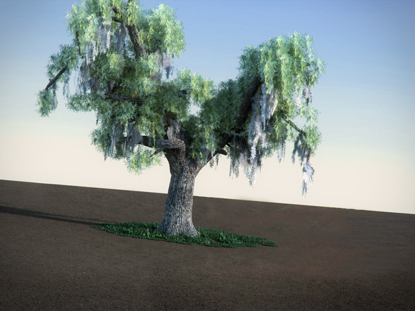 3ds max oak moss tree - Oak with Moss LowPoly tree by RTEwork