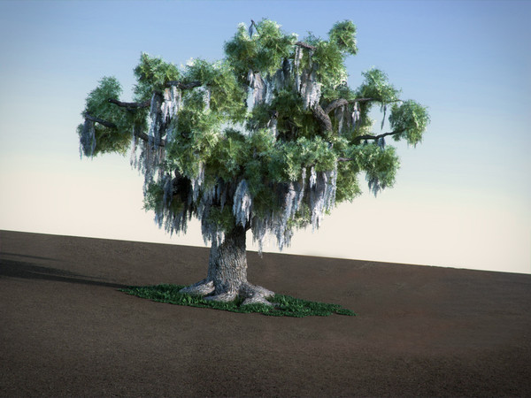 max oak moss tree - Oak with Moss HiPoly tree by RTEwork