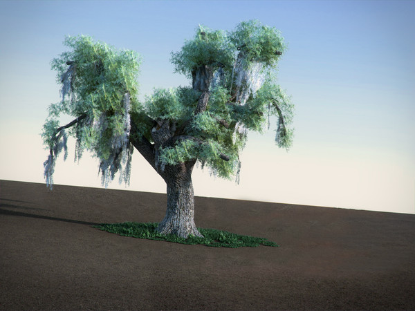 3ds max oak moss tree - Oak with Moss LowPoly tree by RTEwork