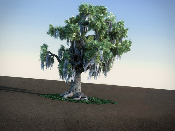 max oak moss tree - Oak with Moss HiPoly tree by RTEwork