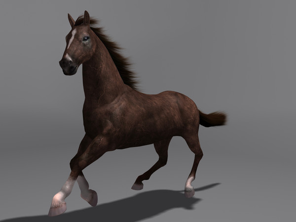 max horse rigging - Horse(1)... by VIS3D