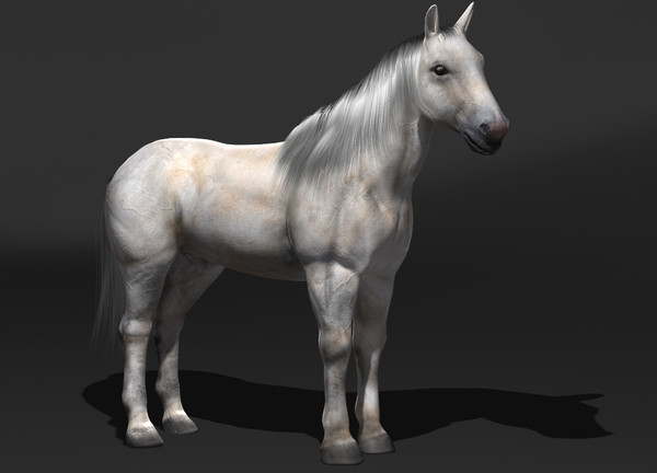 horse rigging 3d model - Horse(1)... by VIS3D