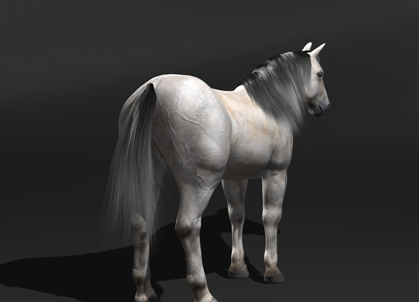 horse rigging 3d model - Horse(1)... by VIS3D