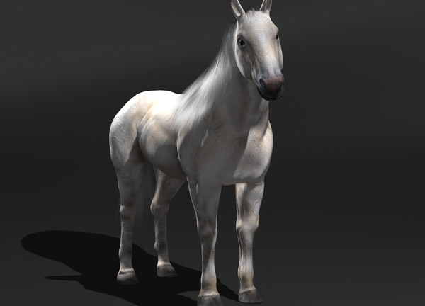 horse rigging 3d model - Horse(1)... by VIS3D