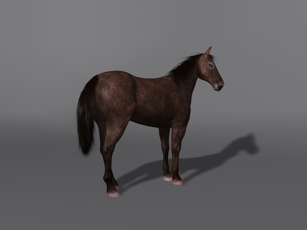 max horse rigging - Horse(1)... by VIS3D