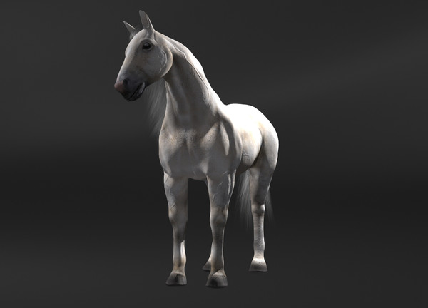 horse rigging 3d model - Horse(1)... by VIS3D