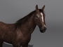 max horse rigging
