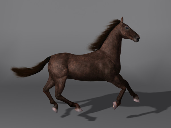max horse rigging - Horse(1)... by VIS3D