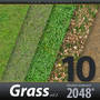 Grass Textures vol.2