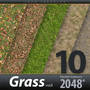 Grass Textures 2048x2048 vol.8