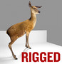 rigged deer 3d ma