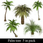 Palm tree 5 in pack