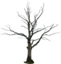 Dead tree collection