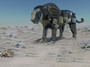 robotic warfare max free