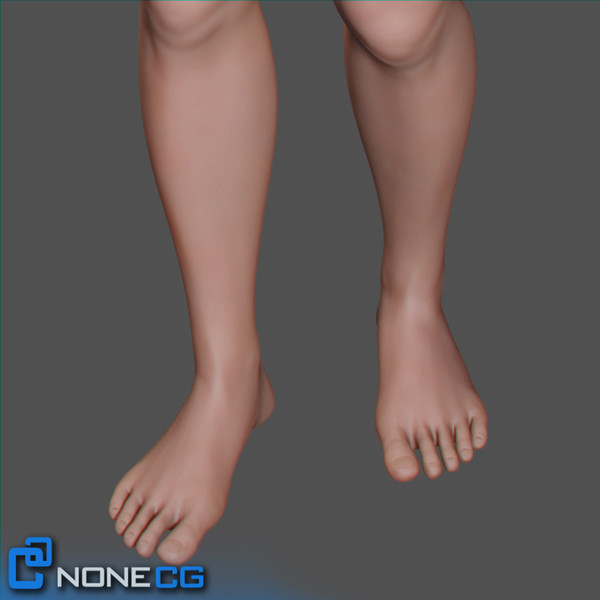 realistic female 3d model - Anatomy Woman Jessy Rigged by NONECG