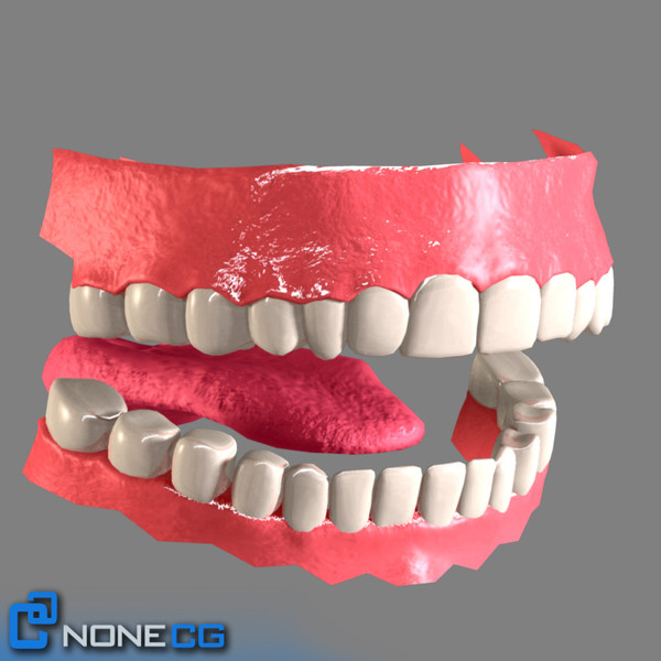 realistic female 3d model - Anatomy Woman Jessy Rigged by NONECG