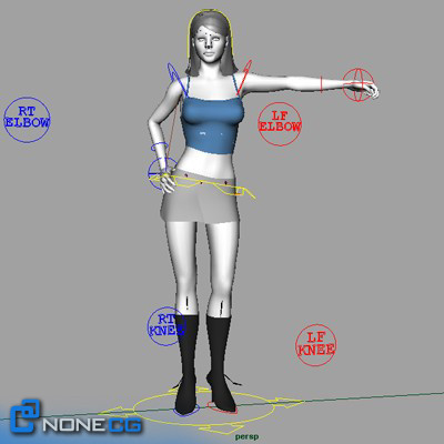realistic female 3d model - Anatomy Woman Jessy Rigged by NONECG