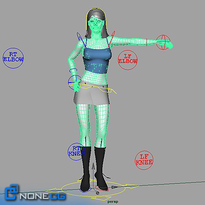 realistic female 3d model - Anatomy Woman Jessy Rigged by NONECG