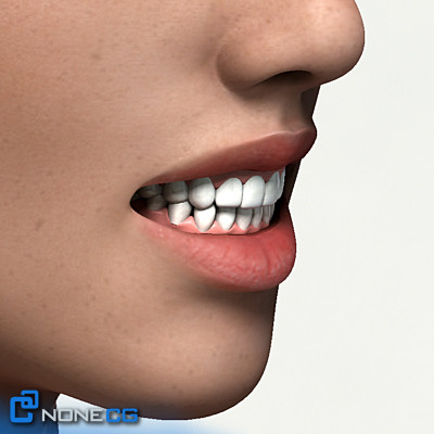 free realistic female girl head 3d model - Anatomy Girl Angie Rigged by NONECG