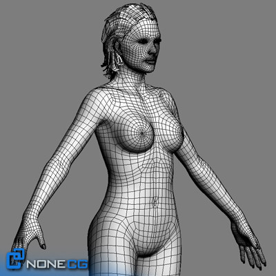 free realistic female girl head 3d model - Anatomy Girl Angie Rigged by NONECG